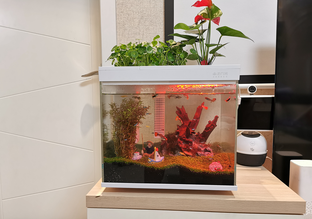 监测|哪种鱼缸更适合养鱼？画法几何AI智能鱼缸，水质监测还能自动喂食