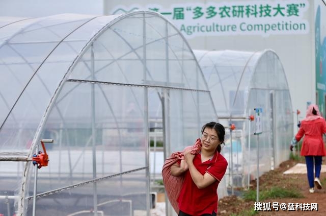 数字化|拼多多赋能数字化农业，他们还隐藏了多少黑科技？