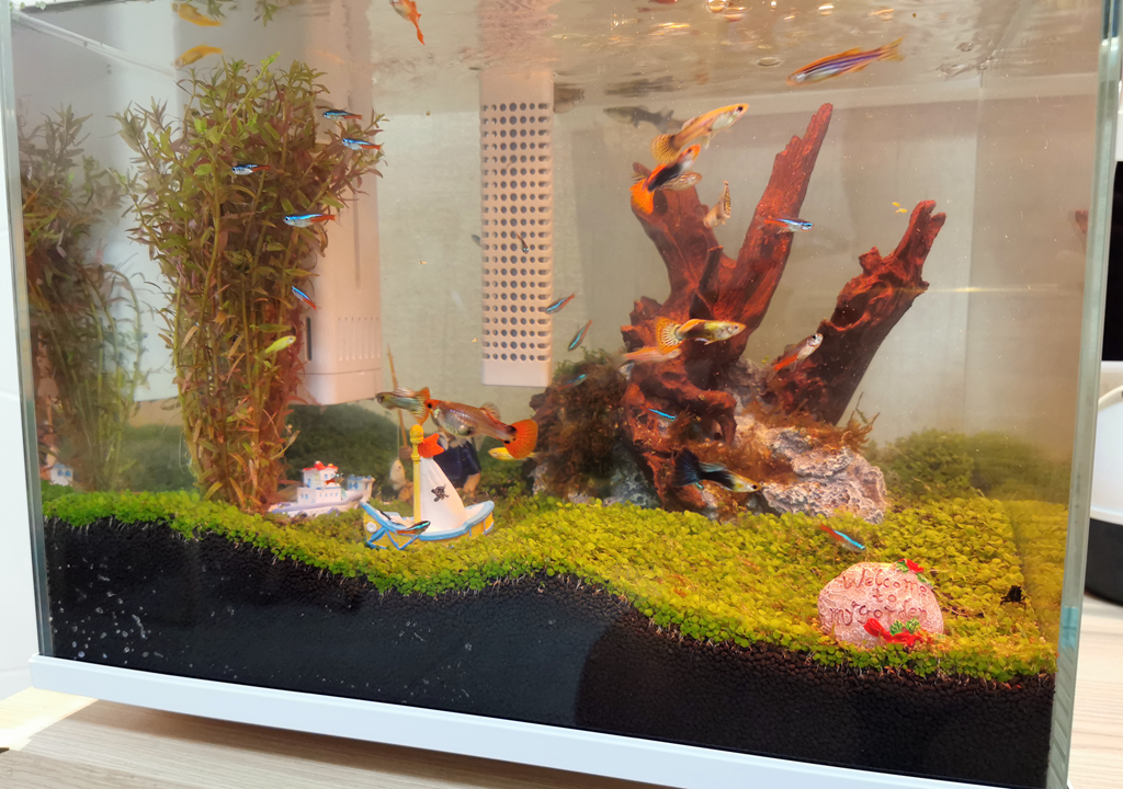 监测|哪种鱼缸更适合养鱼？画法几何AI智能鱼缸，水质监测还能自动喂食