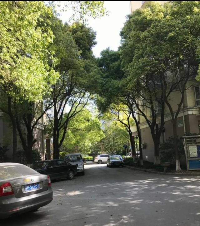 闵行|背靠名校！上海这所新开校热议度超高！9月首届招生成热门 | 复旦附属闵行实验