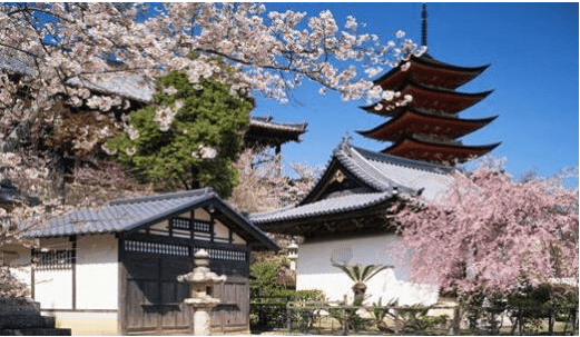 的要求|申请日本全英文授课SGU项目的要求条件