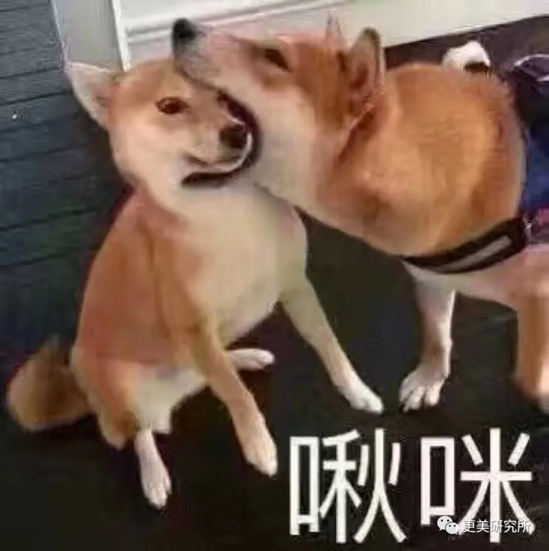 双眼皮|翻了100张照片，才发现她是贵圈换头最失败的女星