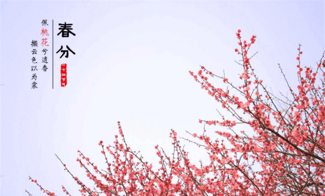 春分节气的特点和风俗是什么 c5de2a4ac09f4a608f635f150b222668.png