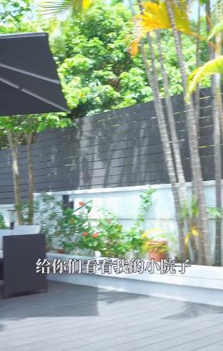张柏芝欠债风波后出镜晒近况 曝光住宅内景似公园