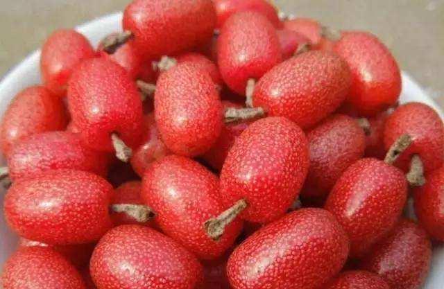 卵巢|晚上当零食吃几个，保养卵巢，更显年轻女性不想子宫早衰