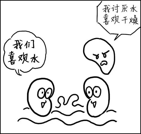 什么|湿气到底是什么？——长胖的罪魁祸首！！