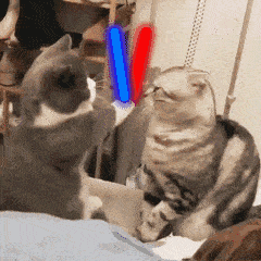 c15ac79d8f02414daa791699233349fe.gif