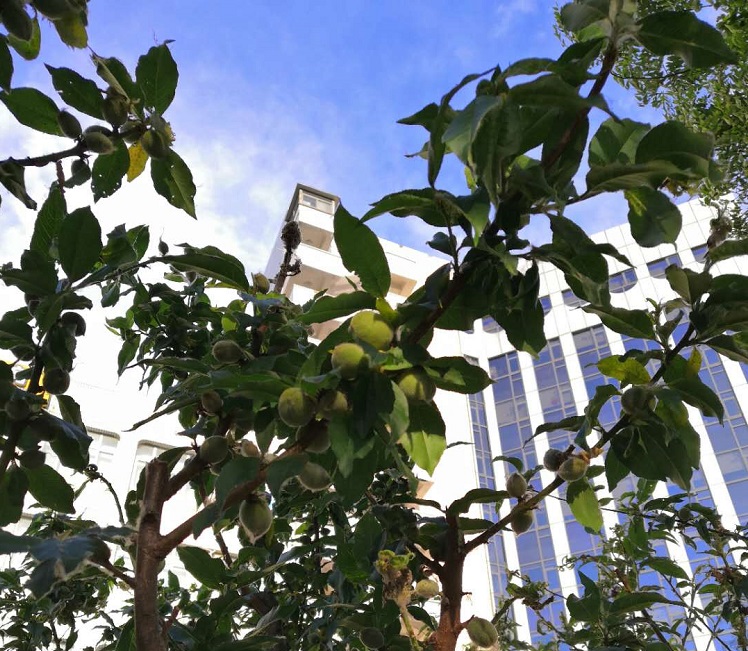 清北|2020高校毕业生薪酬榜，清北上交排前三！你给母校拖后腿了吗？