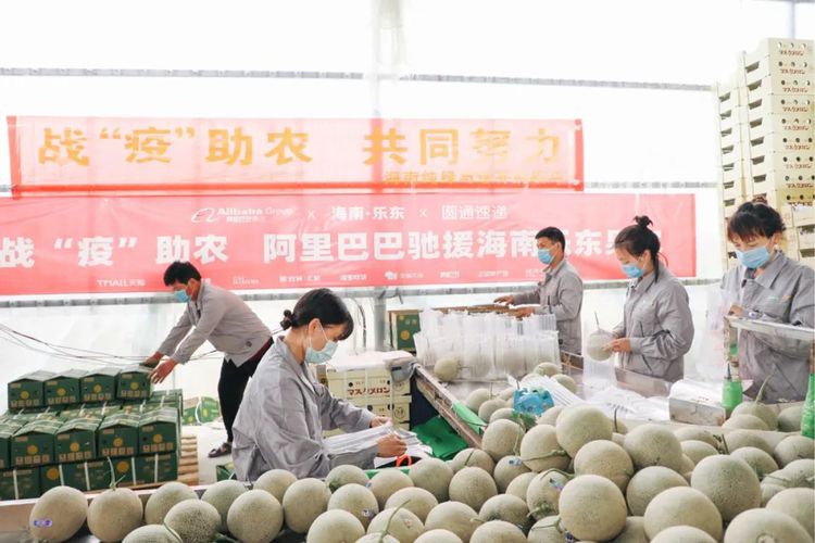 互联网公司|“水”“土”之争，中国究竟需要什么样的互联网公司？