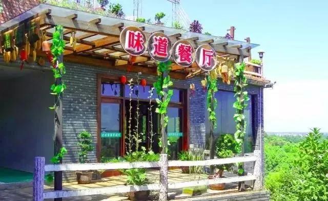 彭山|桃中极品，口口香甜彭山黄桃