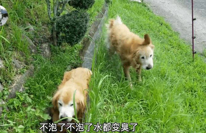 89c33b177d124e94944d26d61f0c1eb8.png