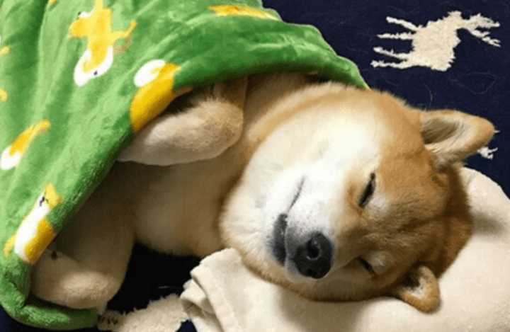 ce02088b99b4477586d2e497566a0c01.png