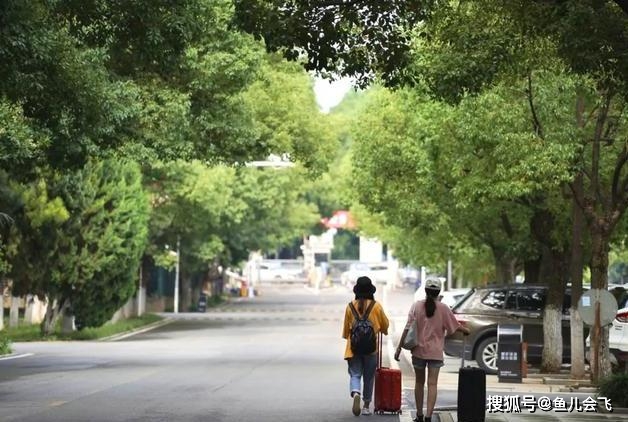 湖北|湖北考生多少分能被中南民族大学录取高考志愿填报中南民族大学