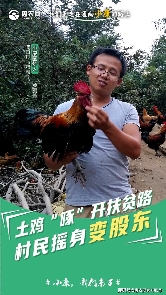 5f336b7157d44830939cd532614f32cc.jpeg