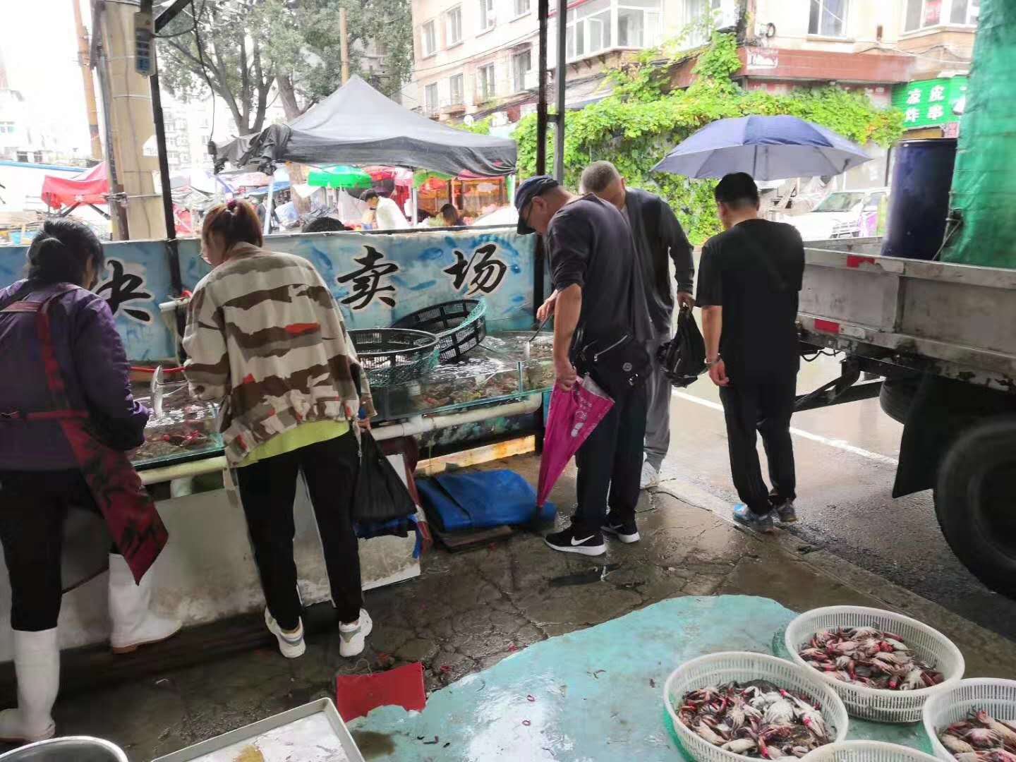 辽阳有多少人口_辽阳市有多少人口