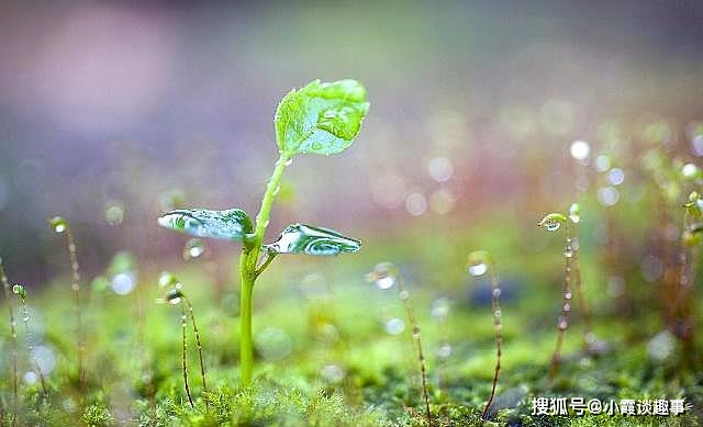 什么时候算春天开始 fe9e7b514988487392bad8892bfead15.jpeg