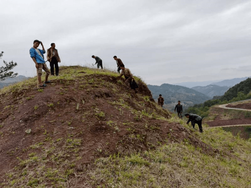 威宁县岔河镇:雨季种树忙 荒山披绿装