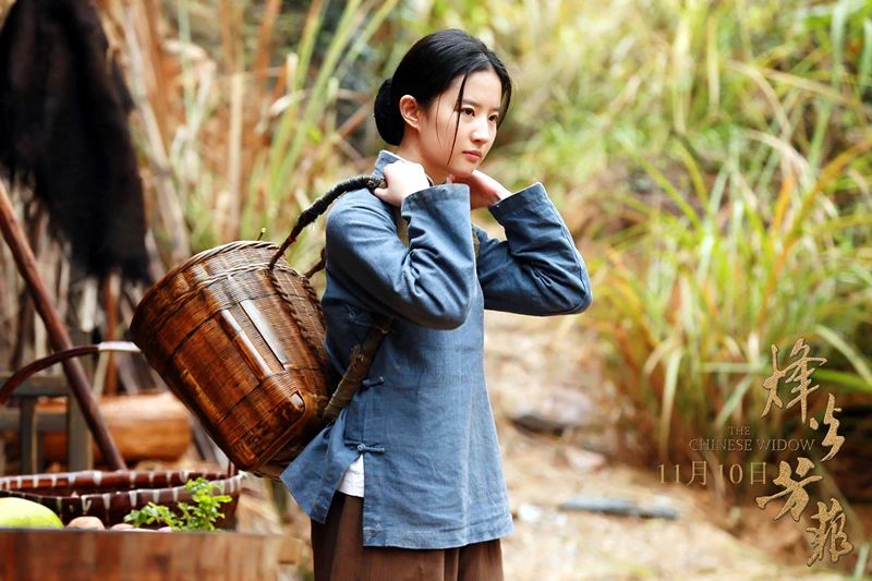 原创刘亦菲主演的"抗日神剧"上映,豆瓣评分不及格,海外却好评不断