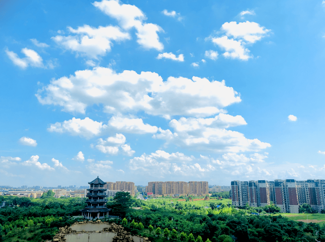 森动狮山近悦远来撩人美景登上学习强国全国平台首页