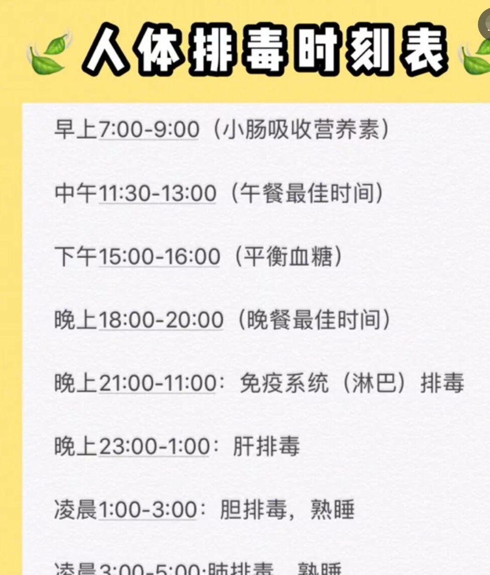 美颜必看,排毒瘦身果汁!在家宿舍必喝超方便!