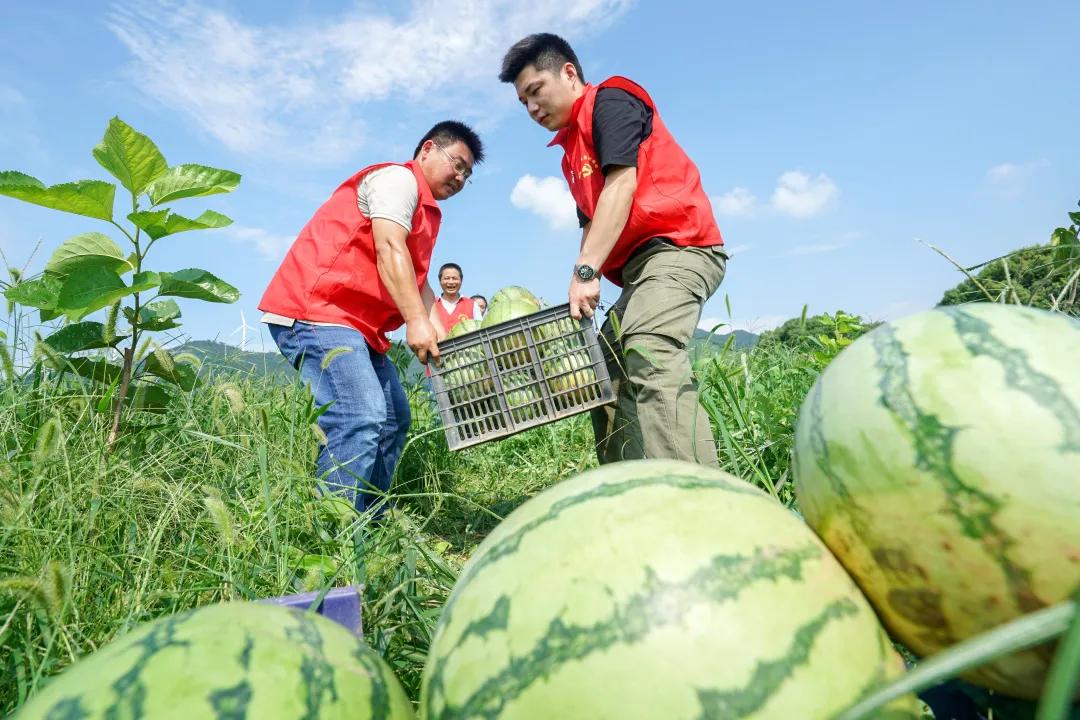 昭通绥江gdp_昭通绥江县城图片(3)