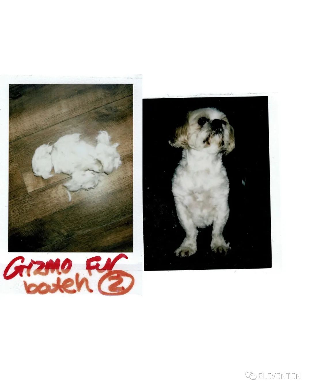 时尚|2020 RCA皇艺 MA FASHION时尚毕业大秀 #女装Womenswear