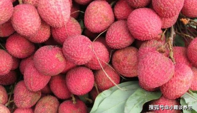 荔枝肉是什么组织 a9a0ffcebd59454c9918cbd0eeb4e522.jpeg