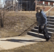 搞笑gif趣图:小姐姐,别爬树啦,下来我请你喝奶茶吧!