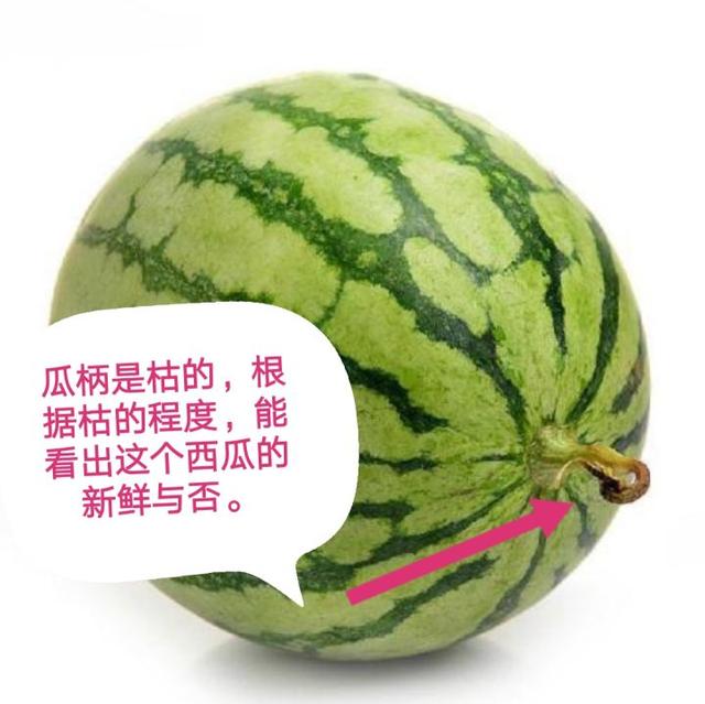 fceeb00289854dcda29955653e84d12d.jpeg