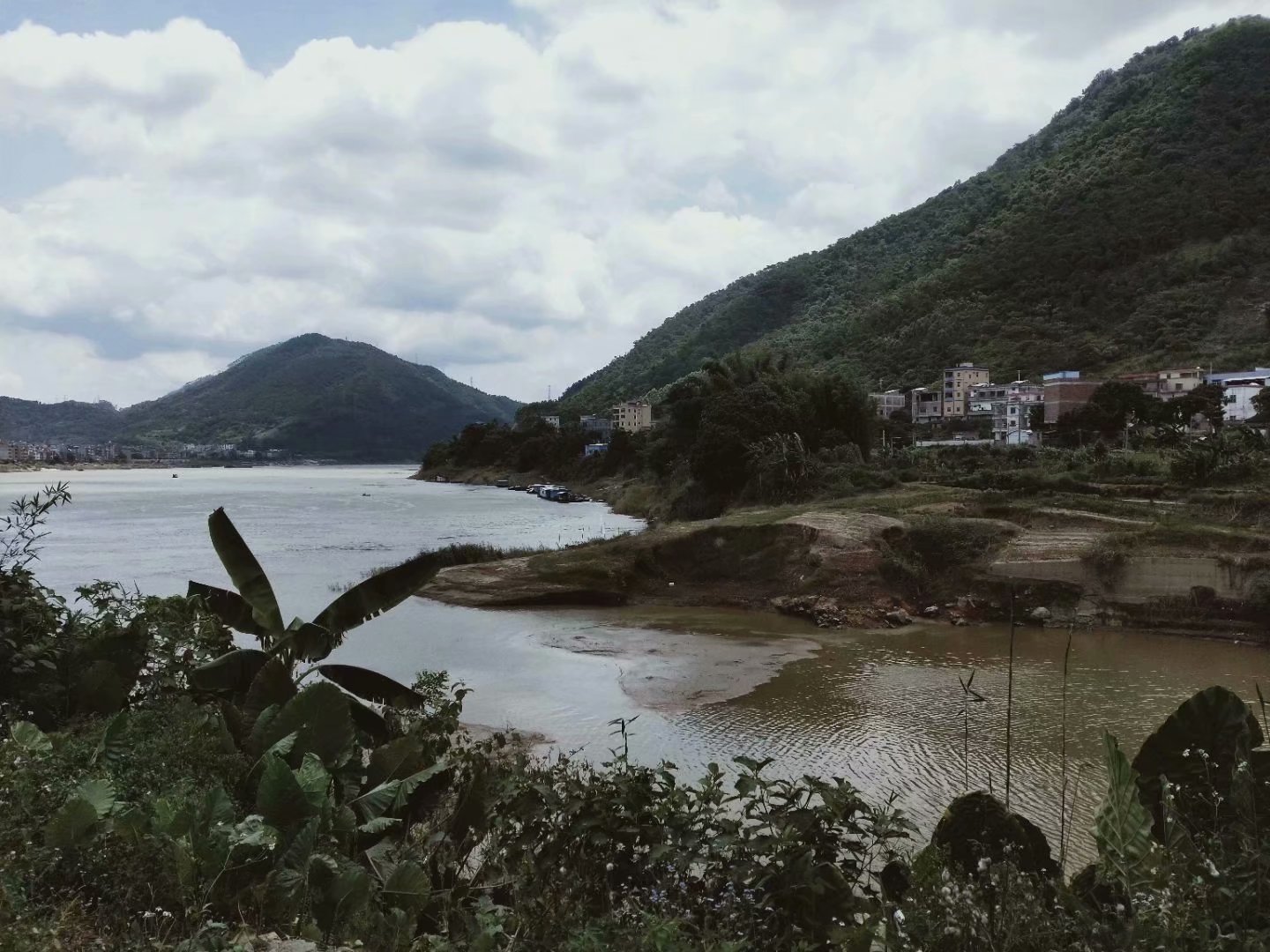 历史|天下龙母,祖在程溪