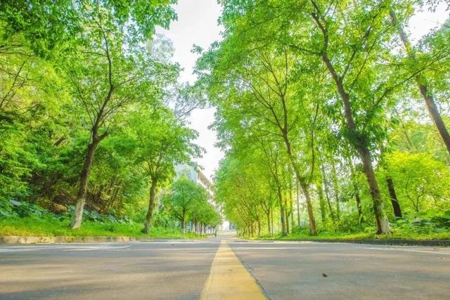 录取分数|提起看!广东这5所大学超厉害!录取分数暴涨?