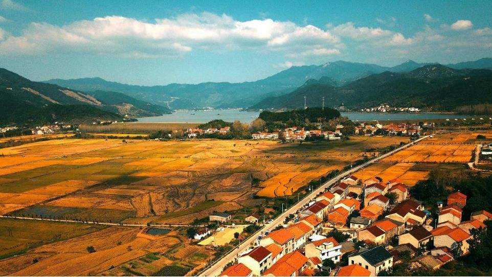 黄梅县经济总量在黄冈地区排名_黄梅县地图(2)