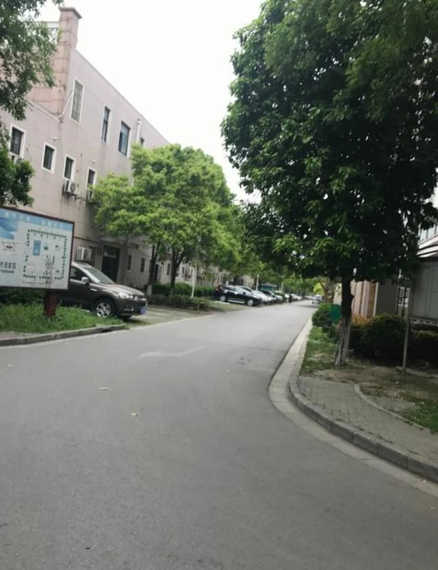 实验|报出生大于一切！上海这所热门一贯制学校，今年小升初100%直升！