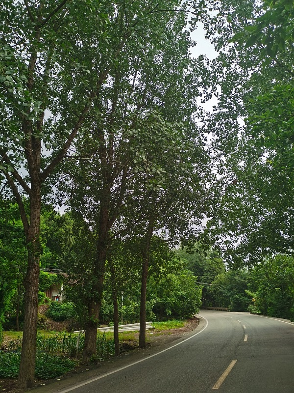 教师风采|资阳市雁江区幸福博文学校教师个人风采展示系列之——站成永恒