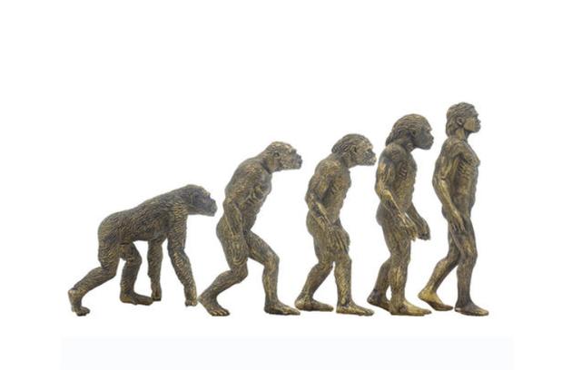 原创人类的祖先到底是不是猴子?进化论存在难以解释的漏洞?