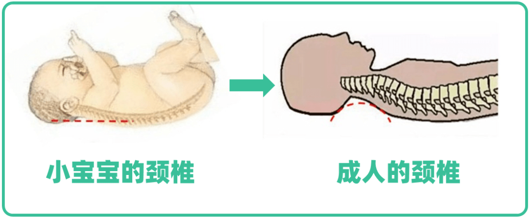 孩子|你可别让孩子用早了孩子多大可以睡枕头