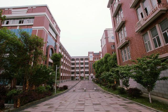 2020湖南高中高考成_湖南娄底最好的5所高中,2020高考成绩说话,蟾宫折桂
