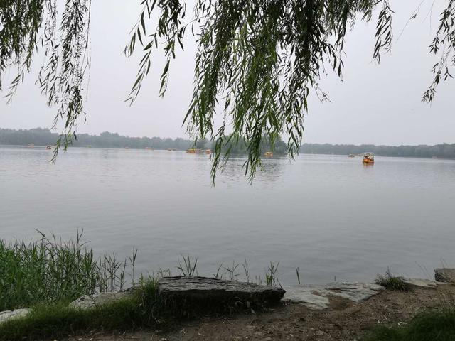 毕业|考研考博难，毕业更难！博士为什么毕业难？