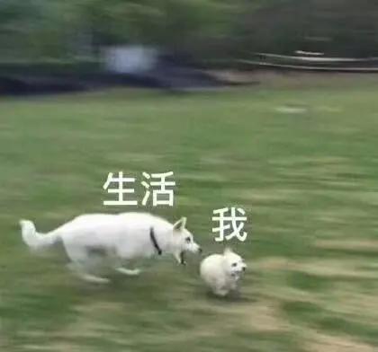 牙齿|90后的你想过什么样的老年生活?网友:吃喝玩乐样样不落!