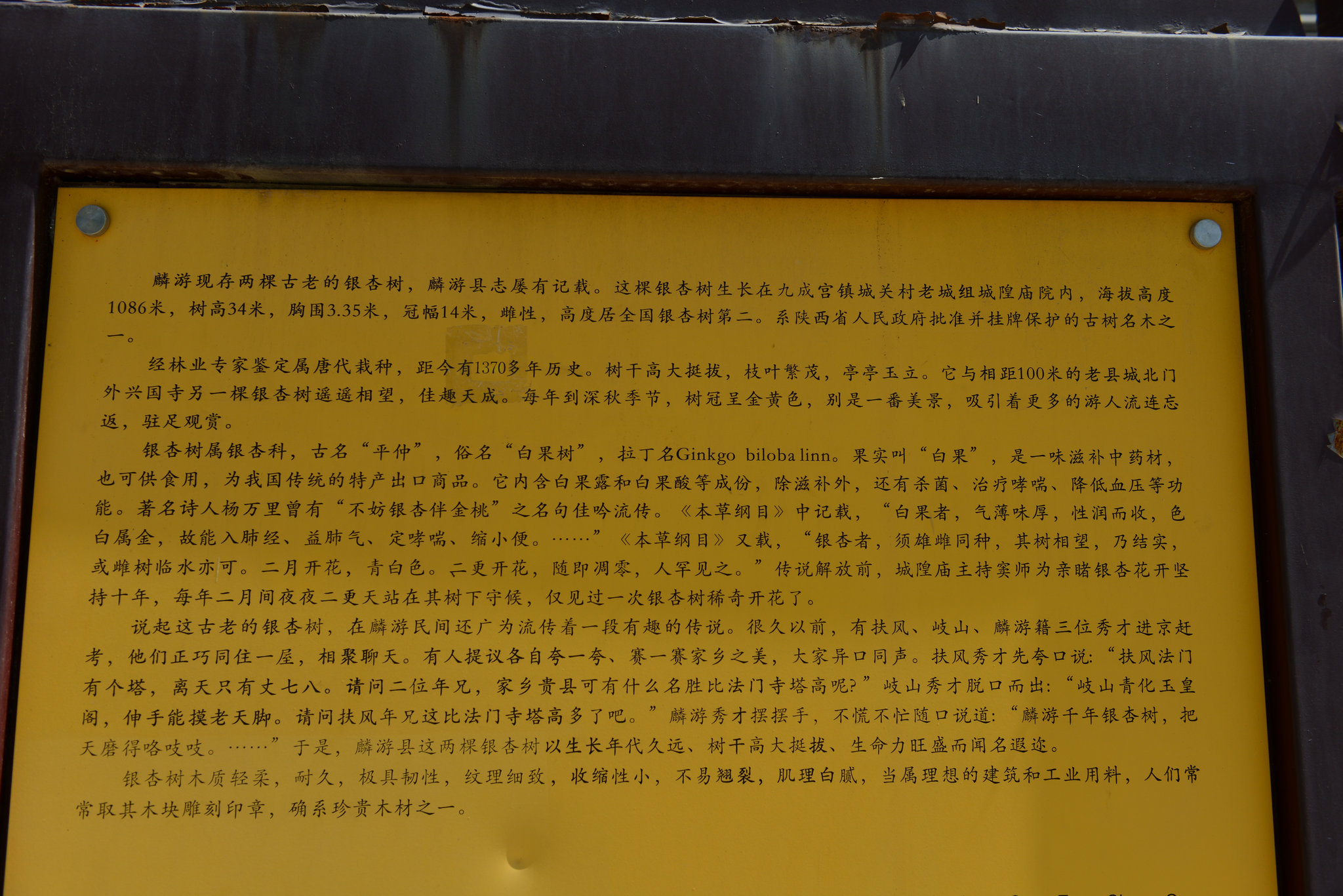 残垣断壁风吹尽秦腔曲谱_陶笛曲谱12孔