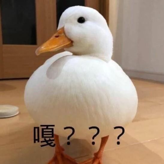 daa64f3f045a4d929920f0d9d6edeb75.jpeg