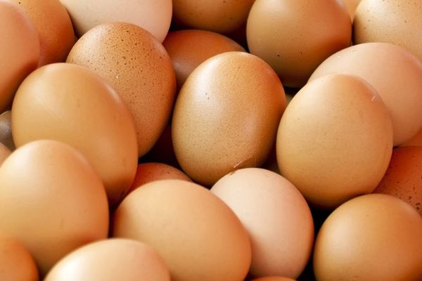 宝宝几个月开始吃鸡蛋好 f3d635316f3e4a76b0b30f69265dab87.jpeg