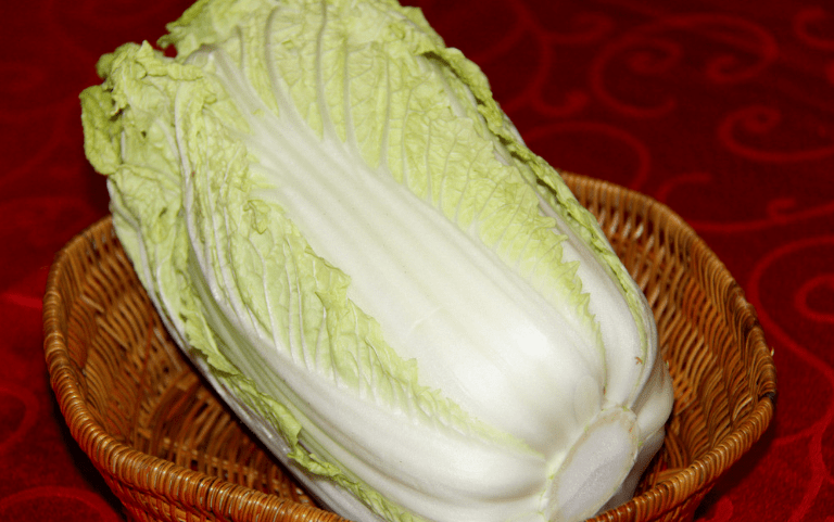 哪些东西属于膳食纤维的食物 589348a513ab4f98aaa977f5297ac246.png