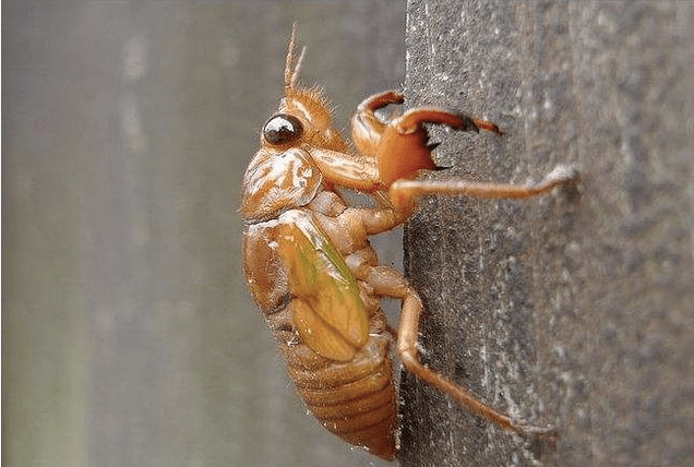 4cafb551c9fe4bee980c6e80ec11a154.png