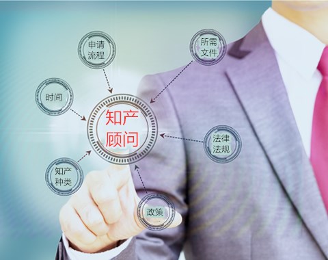 知识产权的销售