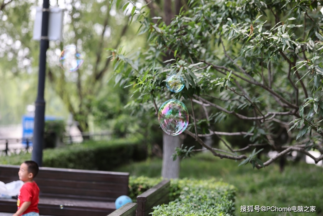 画幅|新一代全画幅专微旗舰 佳能EOS R5评测