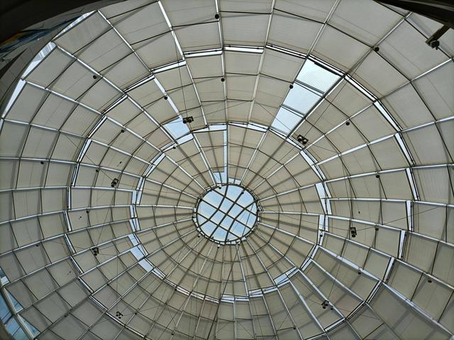 测评盘点|这组手机CP美翻了！荣耀30青春版开箱评测