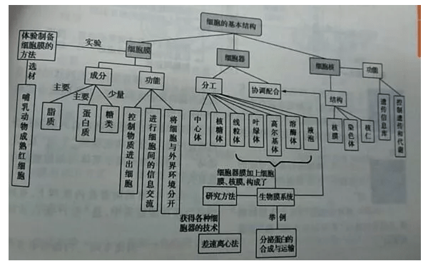 秘笈|2020高考逆袭王曝光! 三个月提升231分! 超实用提分秘笈分享...