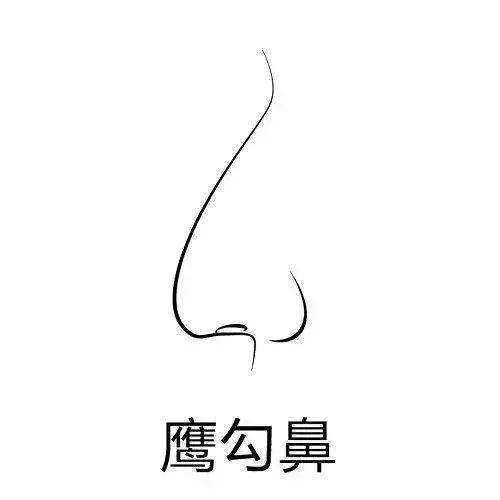 鼻尖|朝天鼻、蒜头鼻、鹰钩鼻不讨喜？一个好看的鼻尖是什么样的体验
