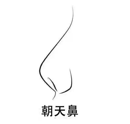 鼻尖|朝天鼻、蒜头鼻、鹰钩鼻不讨喜？一个好看的鼻尖是什么样的体验